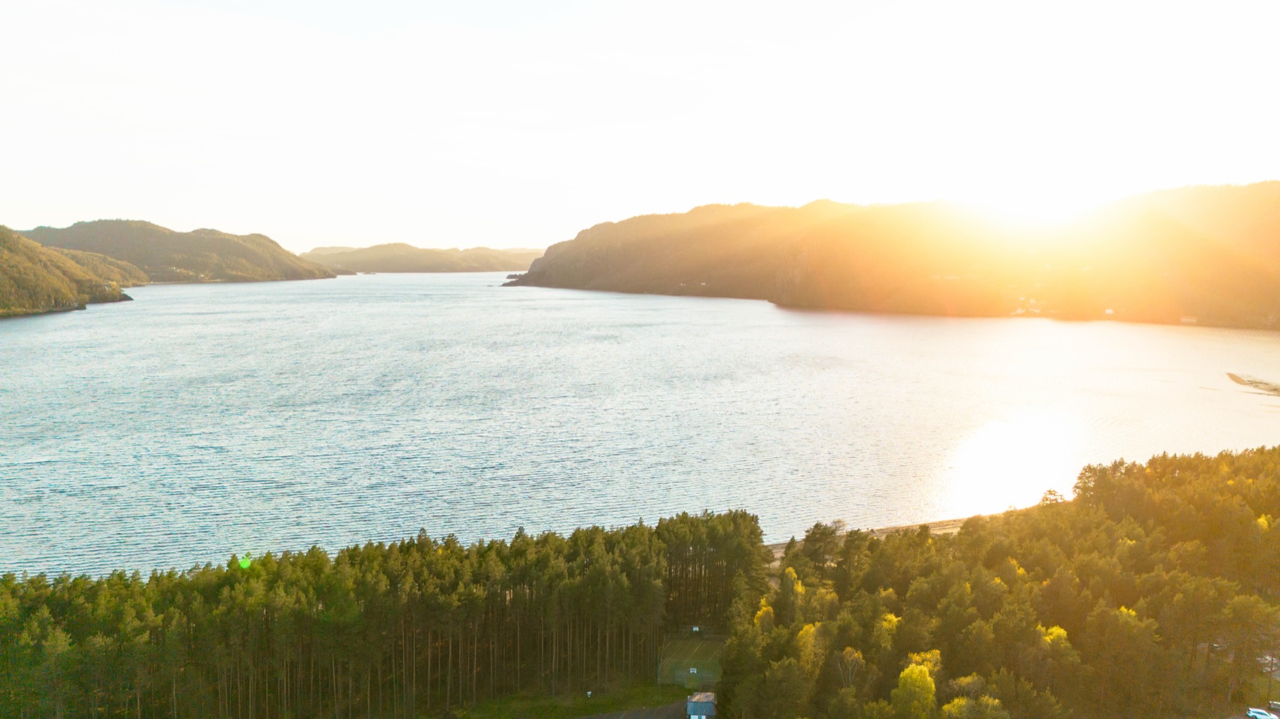 Kvavikfjorden sett fra lufta i motlys, med furuskog i forgrunnen